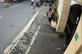 路边的花草不能采！男子拔两棵绿植被拘5天……图片