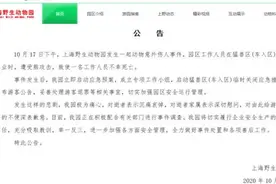 上海野生动物园员工遭熊攻击遇难，园方回应图片