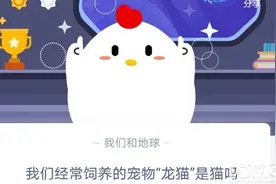蚂蚁庄园10月19日每日一题答案最新 我们经常饲养的宠物“龙猫”是猫吗图片