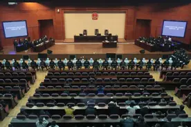 长春刘立军等人涉黑案一审公开宣判 首犯涉9罪被判处有期徒刑25年并处没收个人全部财产图片