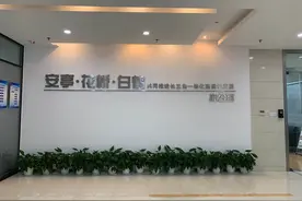 「潮涌长三角」长三角里的小三角“安花白”城镇圈为长三角一体化添力图片