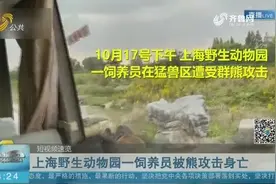 痛心！上海野生动物园一饲养员遭群熊攻击不幸遇难，现场视频曝光视频封面