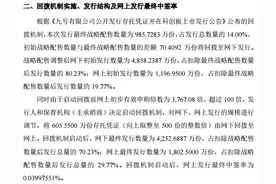 0.04%！科创板“CDR第一股”九号公司网上发行中签率出炉丨热公司图片
