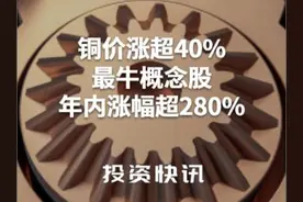铜价涨超40% 最牛概念股年内涨幅超280%视频封面