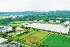 现代农业园区建啥样？解码绵阳这些地方的“秘笈”图片