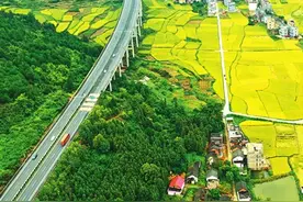 生态养殖扮靓美丽乡村图片