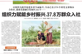 乡村振兴齐鲁样板的“烟台篇章”｜全市已有2779个村党支部领办合作社图片