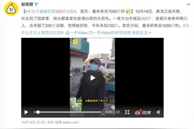 “东北大娘雇车囤300斤白菜”上热搜，网友：又一年的南北差异来了图片