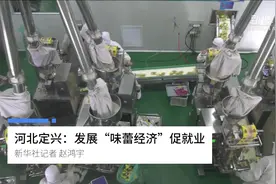 河北定兴：发展“味蕾经济”促就业视频封面