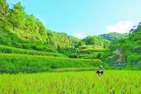 全国第六个广东第一个 连州获授 全国富硒农业示范基地 称号图片