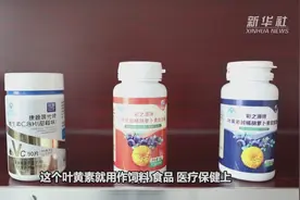 新疆莎车：万寿菊综合利用成效高视频封面