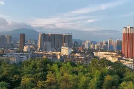 窗外的那片树林图片