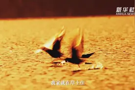单曲循环！这群老英雄用歌声向伟大抗美援朝精神致敬图片