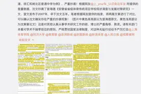 鲁能球迷举报京鲁大战的主裁论文假造，同济大学回应受理调查图片