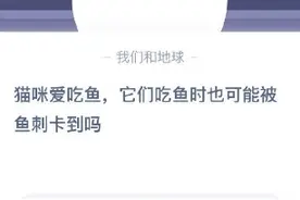 猫咪爱吃鱼它们吃鱼时也可能被鱼刺卡到吗 可能会还是肯定不会图片