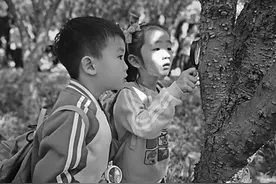 与爱同行 幸福成长——郑州市郑东新区实验幼儿园“521”幸福课程的实践探索图片