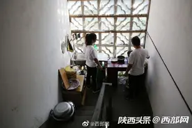 小两口千里赴紫阳深山学养蜂 看好甜蜜产业图片