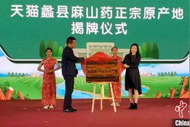 河北蠡县牵手阿里巴巴 打造“天猫麻山药原产地”图片