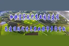 叙州区委书记刘海昌谈现代农业园区建设图片