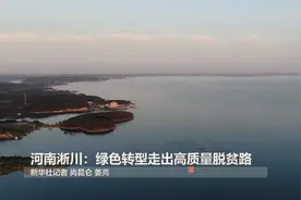 全面建成小康社会“百城千县万村调研行”丨河南淅川：绿色转型走出高质量脱贫路视频封面