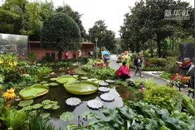 中国（重庆）第三届长江上游城市花卉艺术博览会开幕视频封面