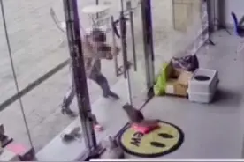 南京一店铺内小猫遭路过男孩虐打，店主要求家长书面道歉被拒图片