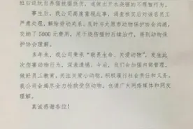 新民快评｜清理虐猫类账号运营链图片