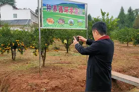 “美丽四川·宜居乡村”建设工作会在巴中召开图片