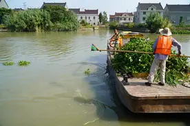 “吴根越角”一笔“污水账”,曾引发江浙边界村民冲突，如今终于算“清”了图片