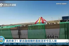 真的来了！检验检疫合格，蒙古国捐赠的首批活羊10月22日入境视频封面