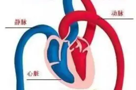 4招远离动静脉血栓，拿去不谢图片