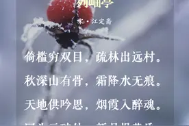 霜降诗节丨感受深秋的美好 邂逅时光里的暖图片