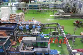 打造农产品加工产业新地标——渭南经开区倾力推进农业产业高质量发展图片