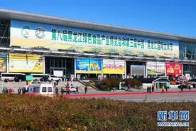 黑土地上三场丰收主题盛会凸显“饭碗”实力图片