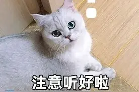 东莞人速看！明天起，全面调整图片