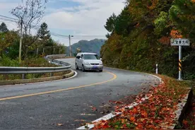安徽大别山旅游扶贫路成“致富路”图片
