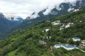 一株茶树 一片茶叶 “书写”一方“经济文章”图片