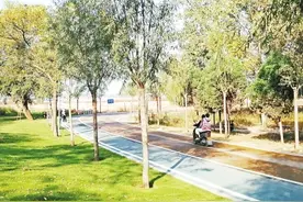 慢行系统+观景台+黄河客厅 郑州黄河滩地公园初露芳容图片