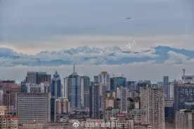 成都：公园城市开启“未来之城”图片