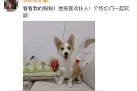 重度抑郁！博主留自杀微博，网友发来这些……图片