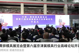 中国·黄骅模具展览会暨第六届京津冀模具行业高峰论坛开幕视频封面