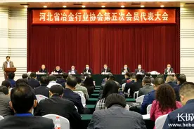 河北省冶金行业协会第五次会员代表大会召开 选举王兰玉为会长图片