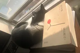 又是一年1024，程序员：我写的算法不足以控制人类图片