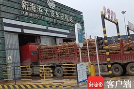 海口至海安航线恢复通航 新海港抓紧抢运待渡车辆图片