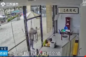 男孩隔门虐猫引发网友关注！家长逃避责任，拒绝沟通图片