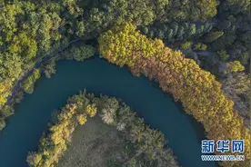 贵阳：黄金大道秋景如画图片