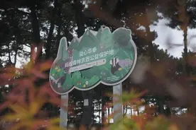 人人一平米，“益心华泰”蚂蚁森林京西保护地引导2000万人次守护北京生物多样性图片