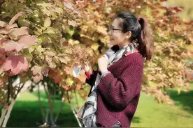 追逐落花的影子，黄昏微微一笑图片