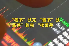 中国财富报道|茅台半天暴跌900亿！视频封面