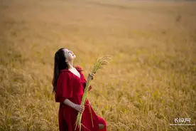 爱家乡 游河北｜重阳节：遇见河北好秋色图片